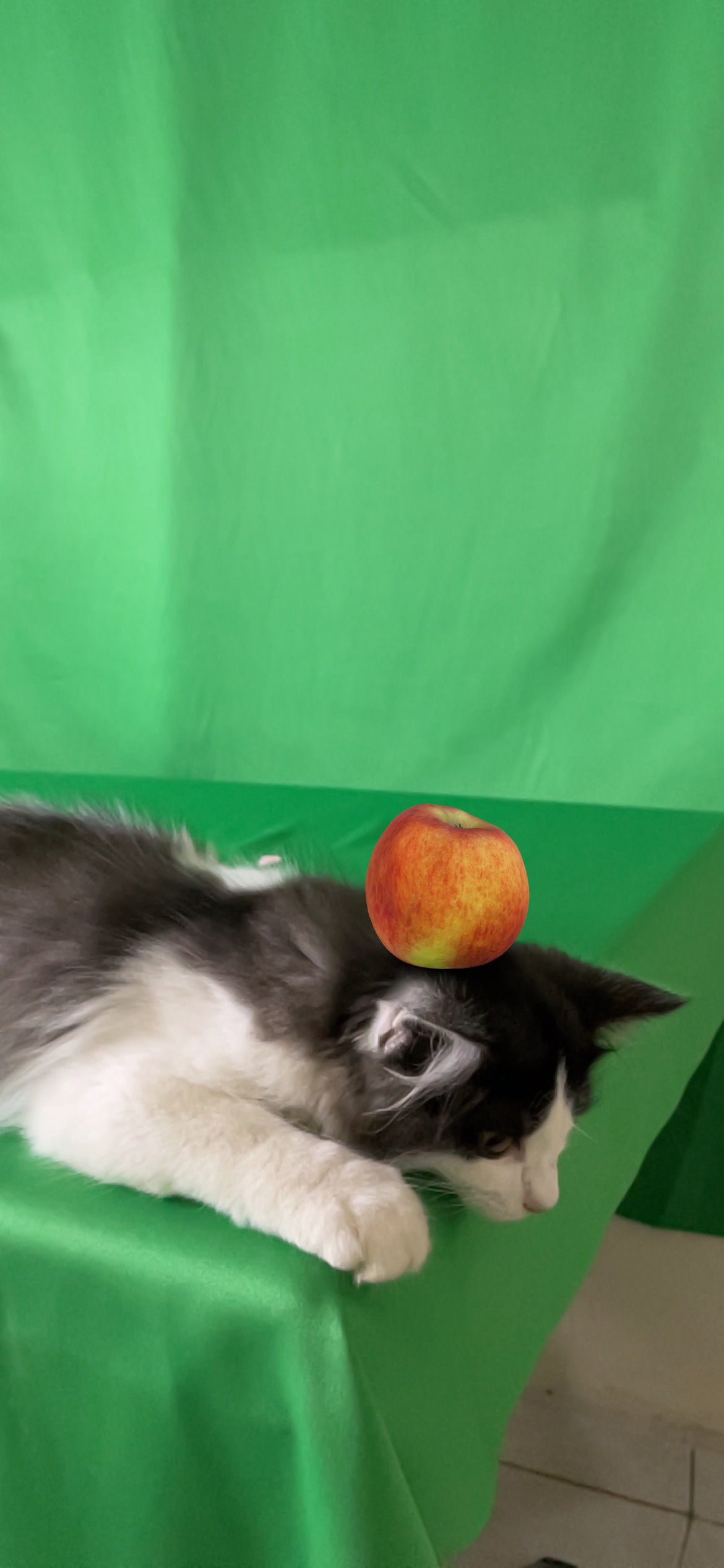 Augmented Reality Cat Apple